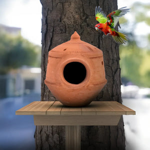 How a Mud Bird Nest Helps Birds Stay Cool During Summer?