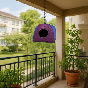 Hamster Cage Trends in 2026: What’s New & What Works?