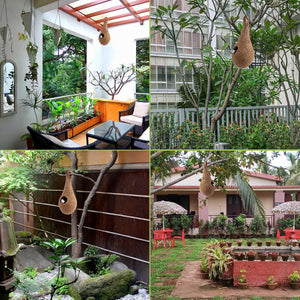 Why Every Bird Lover Needs a Coir Birdhouse: Benefits & Tips