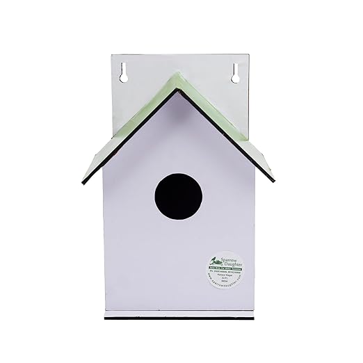Sparrow Daughter Hut Shape MDF Bird House for House Sparrow, Love Birds, Wooden Bird Nest for Balcony & Garden Hanging, Large Size
