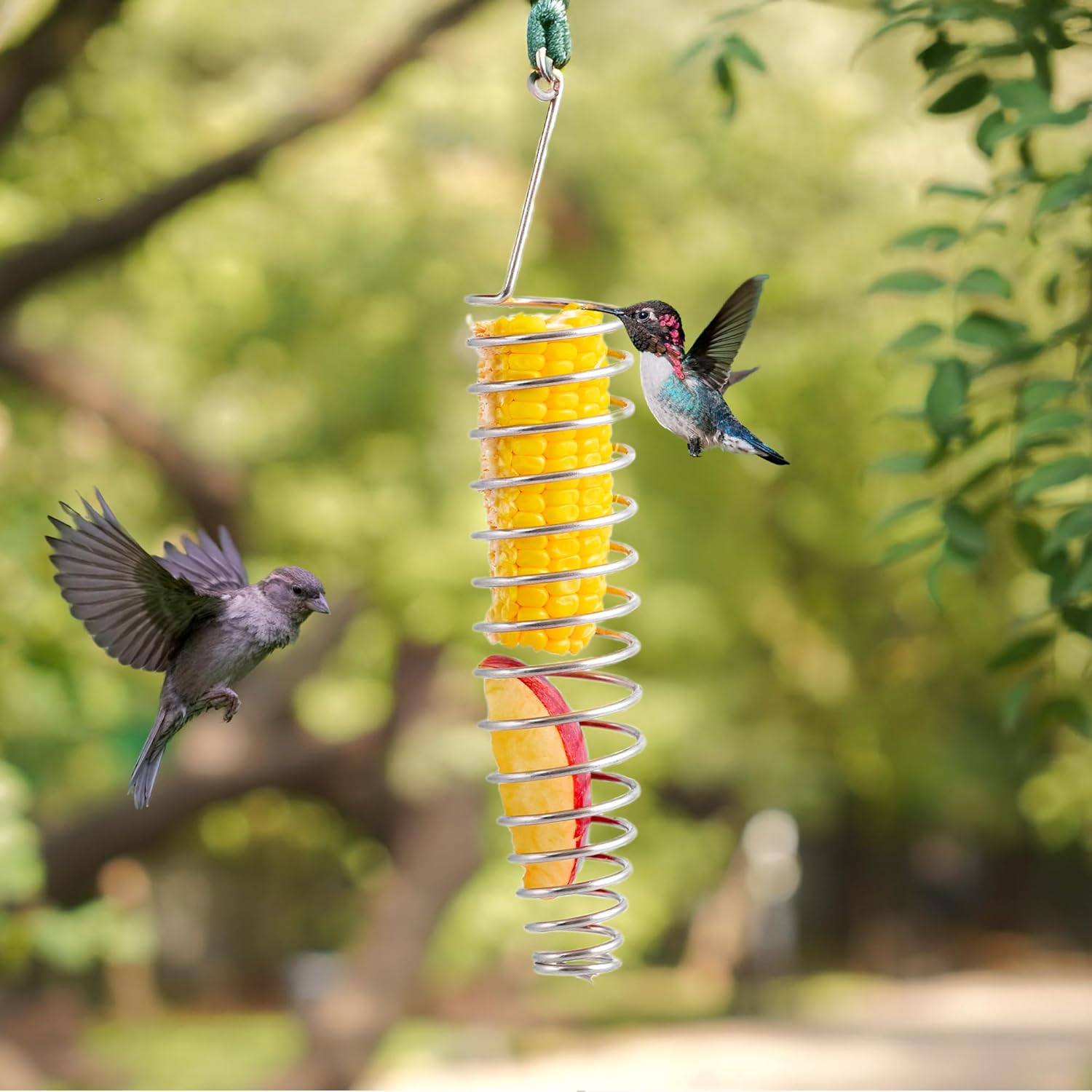 Sparrow Daughter Stainless Steel Bird Food Holder, Spiral Hanging Feeder for Fruits, Vegetables & Treats, Suitable for Parrots, Conures & Parakeets, Durable Bird Feeder (1 pc)