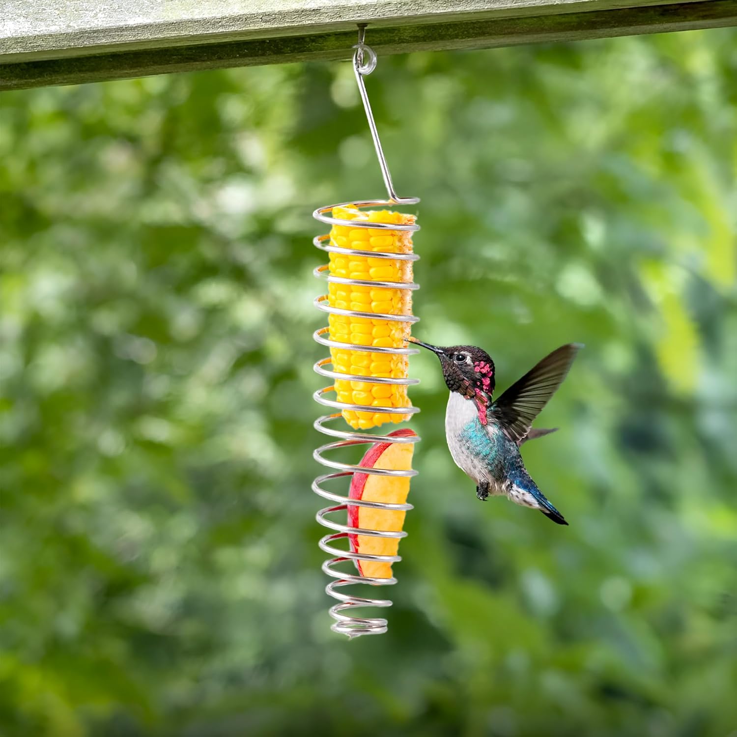 Sparrow Daughter Stainless Steel Bird Food Holder, Spiral Hanging Feeder for Fruits, Vegetables & Treats, Suitable for Parrots, Conures & Parakeets, Durable Bird Feeder (1 pc)