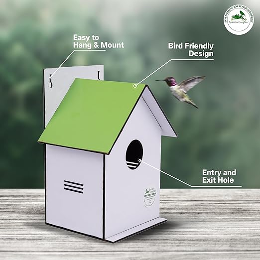 Sparrow Daughter Hut Shape MDF Bird House for House Sparrow, Love Birds, Wooden Bird Nest for Balcony & Garden Hanging, Large Size