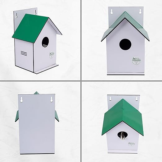 Sparrow Daughter Hut Shape MDF Bird House for House Sparrow, Love Birds, Wooden Bird Nest for Balcony & Garden Hanging, Large Size