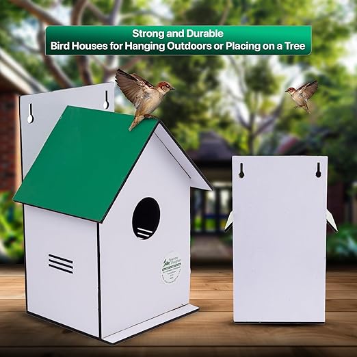 Sparrow Daughter Hut Shape MDF Bird House for House Sparrow, Love Birds, Wooden Bird Nest for Balcony & Garden Hanging, Large Size