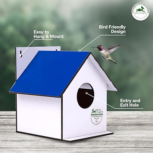 Sparrow Daughter Hut Shape MDF Bird House for House Sparrow, Love Birds, Wooden Bird Nest for Balcony & Garden Hanging, Small (Set of 2)