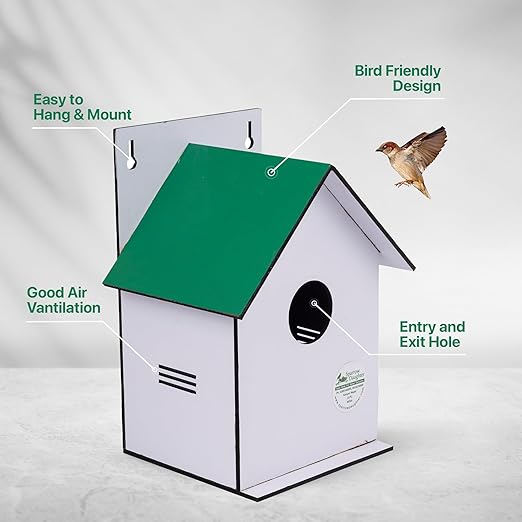 Sparrow Daughter Hut Shape MDF Bird House for House Sparrow, Love Birds, Wooden Bird Nest for Balcony & Garden Hanging, Medium Size