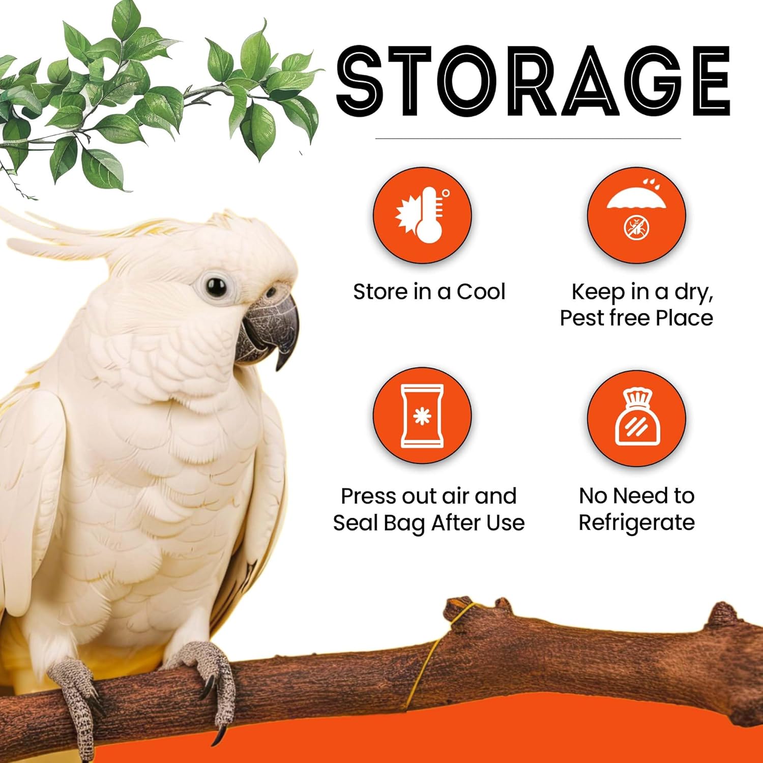 Sparrow Daugther Premium Oats Seed for Finches & Parakeets, Bird Food for All Types of Birds, Lovebirds, Cockatiels, African Grey, Cockatoo. Dry Long Oat Seeds for Everyday use.