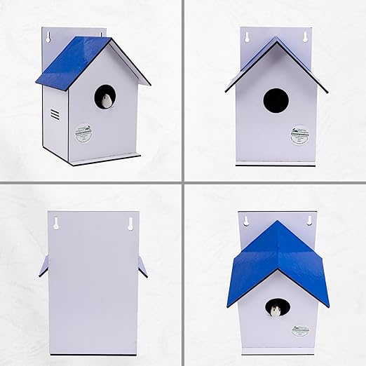 Sparrow Daughter Hut Shape MDF Bird House for House Sparrow, Love Birds, Wooden Bird Nest for Balcony & Garden Hanging, Medium Size
