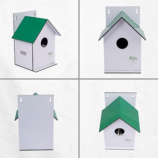 Sparrow Daughter Hut Shape MDF Bird House for House Sparrow, Love Birds, Wooden Bird Nest for Balcony & Garden Hanging, Medium Size