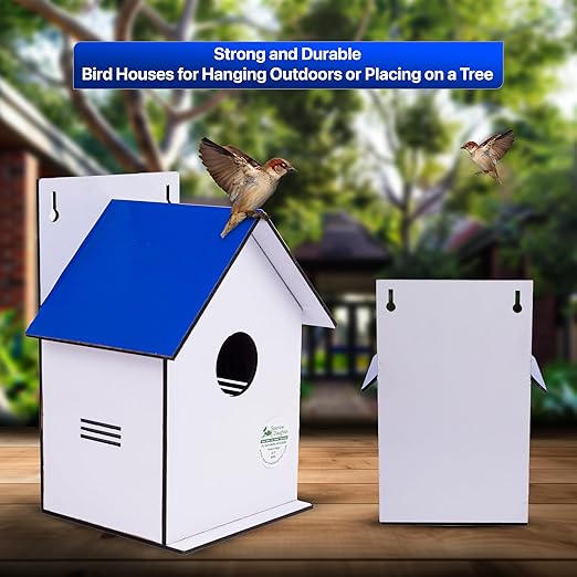 Sparrow Daughter Hut Shape MDF Bird House for House Sparrow, Love Birds, Wooden Bird Nest for Balcony & Garden Hanging, Medium Size