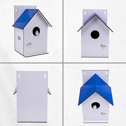 Sparrow Daughter Hut Shape MDF Bird House for House Sparrow, Love Birds, Wooden Bird Nest for Balcony & Garden Hanging, Large Size