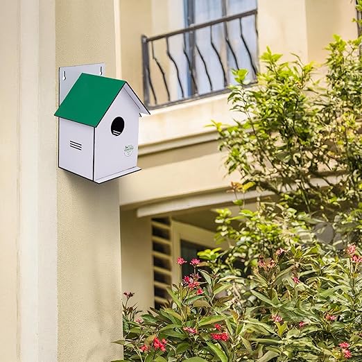 Sparrow Daughter Hut Shape MDF Bird House for House Sparrow, Love Birds, Wooden Bird Nest for Balcony & Garden Hanging, Medium Size