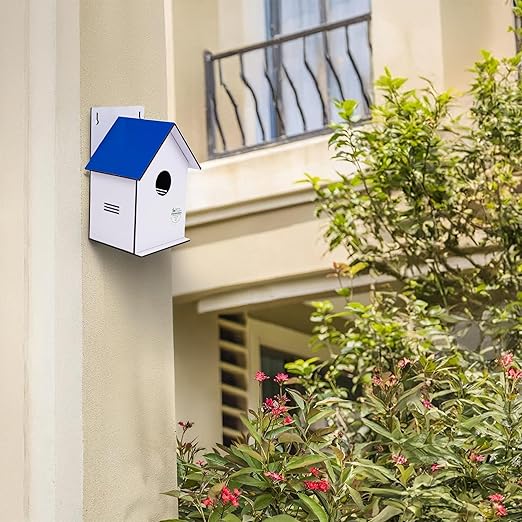 Sparrow Daughter Hut Shape MDF Bird House for House Sparrow, Love Birds, Wooden Bird Nest for Balcony & Garden Hanging, Large Size