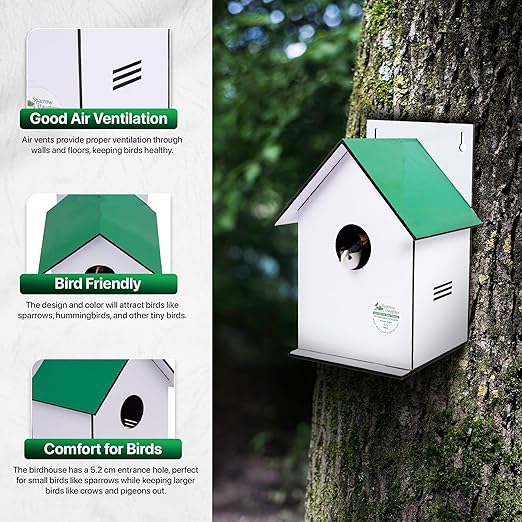 Sparrow Daughter Hut Shape MDF Bird House for House Sparrow, Love Birds, Wooden Bird Nest for Balcony & Garden Hanging, Medium Size