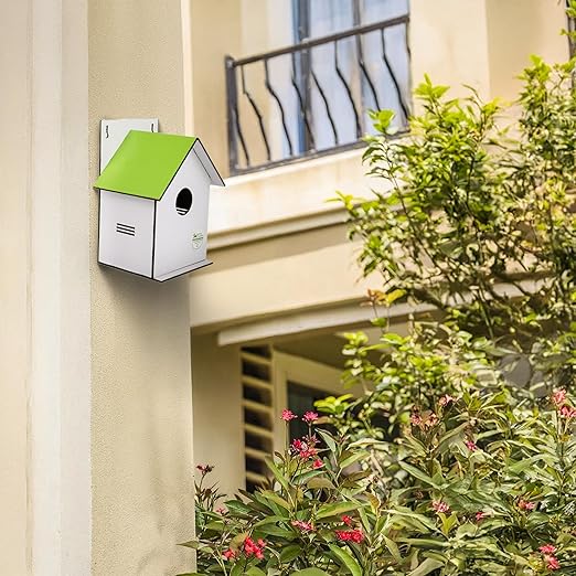 Sparrow Daughter Hut Shape MDF Bird House for House Sparrow, Love Birds, Wooden Bird Nest for Balcony & Garden Hanging, Medium Size