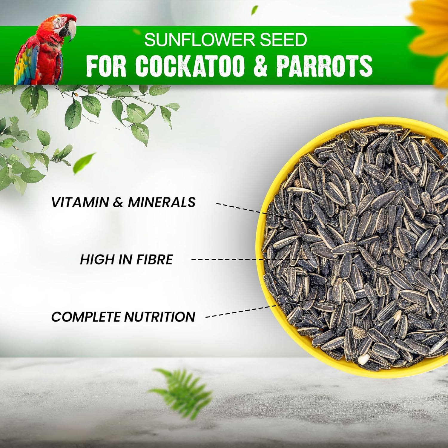 Sparrow Daughter Striped Sunflower Seed for Birds, Natural & Healthy Bird Food for Conures, Lovebirds, Cockatiels, African Grey, Macaws, Cockatoo, Parakeets & Parrots