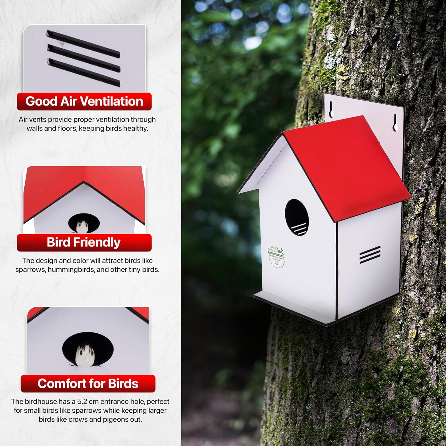 Sparrow Daughter Hut Shape MDF Bird House for House Sparrow, Love Birds, Wooden Bird Nest for Balcony & Garden Hanging, Large Size