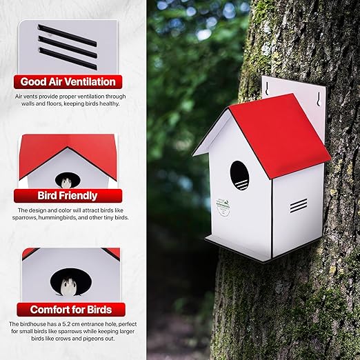 Sparrow Daughter Hut Shape MDF Bird House for House Sparrow, Love Birds, Wooden Bird Nest for Balcony & Garden Hanging, Large Size