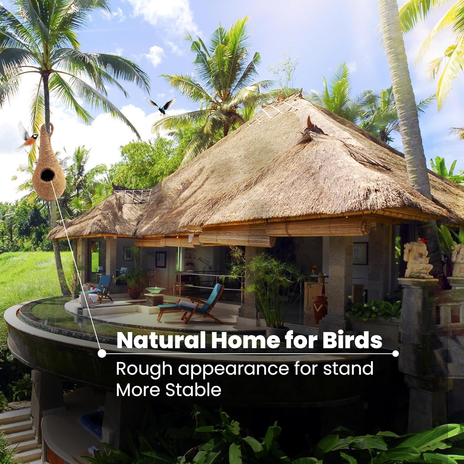 Handwoven Coir Bird Nest - Natural Hanging Birdhouse for Sparrows, Finches, Java Sparrows & Other Small Birds, Ideal for Gardens, Balconies & Trees, (Pair of 1)(* 2 pcs)