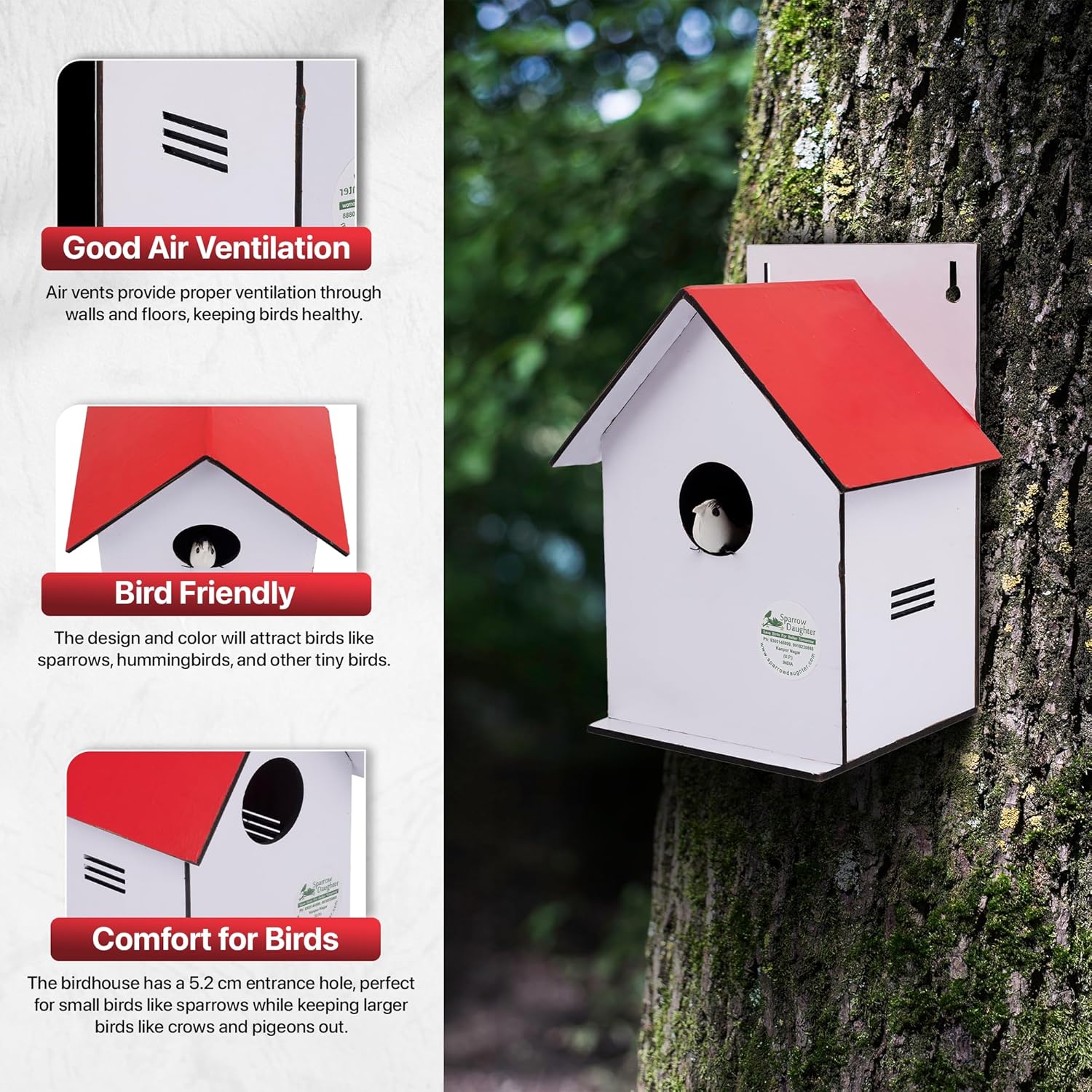 Sparrow Daughter Hut Shape MDF Bird House for House Sparrow, Love Birds, Wooden Bird Nest for Balcony & Garden Hanging, Medium Size