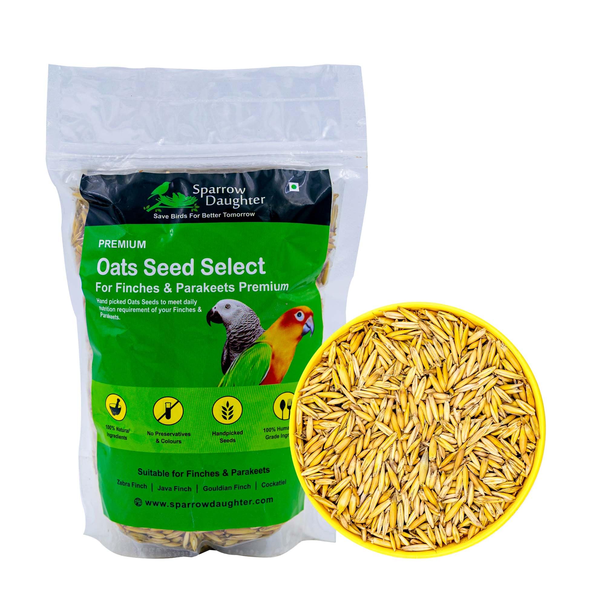 Sparrow Daugther Premium Oats Seed for Finches & Parakeets, Bird Food for All Types of Birds, Lovebirds, Cockatiels, African Grey, Cockatoo. Dry Long Oat Seeds for Everyday use.