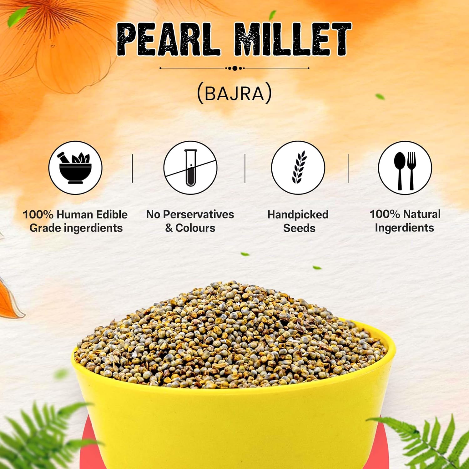 Sparrow Daughter Pearl Millet (Bajra) Premium Healthy Bird Food for Finches, Parakeets, Lovebirds, Cockatiels, Parrots, Everyday Bird Food Seeds, All Life Stages