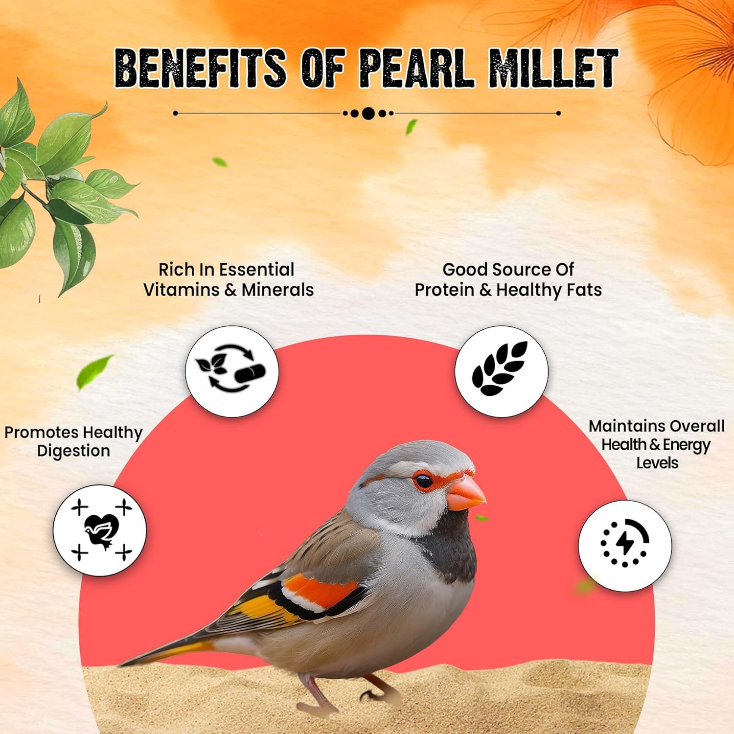 Sparrow Daughter Pearl Millet (Bajra) Premium Healthy Bird Food for Finches, Parakeets, Lovebirds, Cockatiels, Parrots, Everyday Bird Food Seeds, All Life Stages