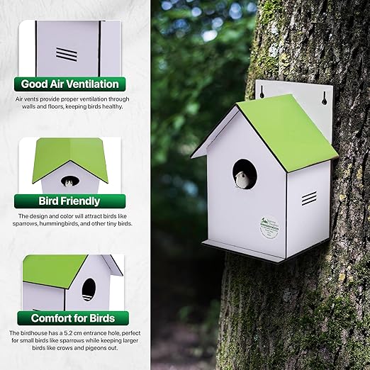 Sparrow Daughter Hut Shape MDF Bird House for House Sparrow, Love Birds, Wooden Bird Nest for Balcony & Garden Hanging, Medium Size