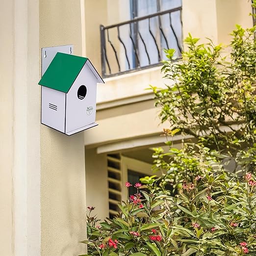 Sparrow Daughter Hut Shape MDF Bird House for House Sparrow, Love Birds, Wooden Bird Nest for Balcony & Garden Hanging, Large Size