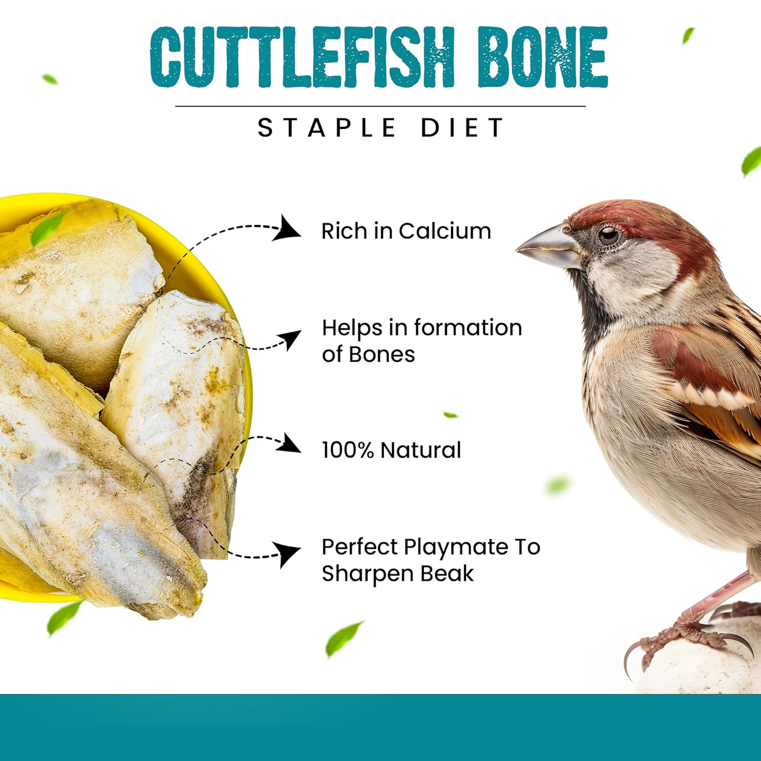 Sparrow Daughter Cuttlefish Bone for Birds, Bird Food with high Calcium for Finches, Budgies, Conures, Lovebirds, Cockatiels, African Grey, Macaws, Parakeets & Parrots, 100 Grams