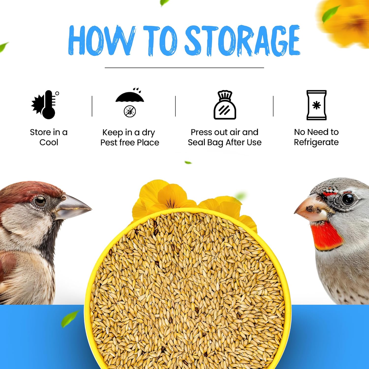 Sparrow Daughter Canary Seeds Bird Food for Canaries, Finches, Budgies, Parakeets, 100% Natural, High Fiber Healthy Premium Seeds Suitable for All Types of Birds