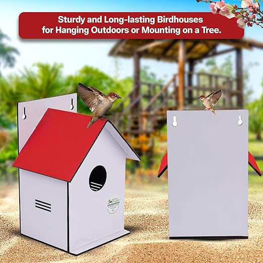 Sparrow Daughter Hut Shape MDF Bird House for House Sparrow, Love Birds, Wooden Bird Nest for Balcony & Garden Hanging, Large Size