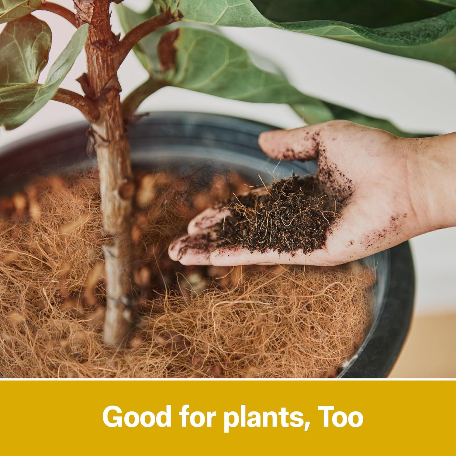 Sparrow Daughter Natural Coco Fiber Nesting Materials for Making 2 nests, for All Small Birds and Animals, Laying Eggs Breeding as Natural Bed