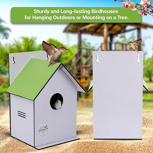 Sparrow Daughter Hut Shape MDF Bird House for House Sparrow, Love Birds, Wooden Bird Nest for Balcony & Garden Hanging, Large Size