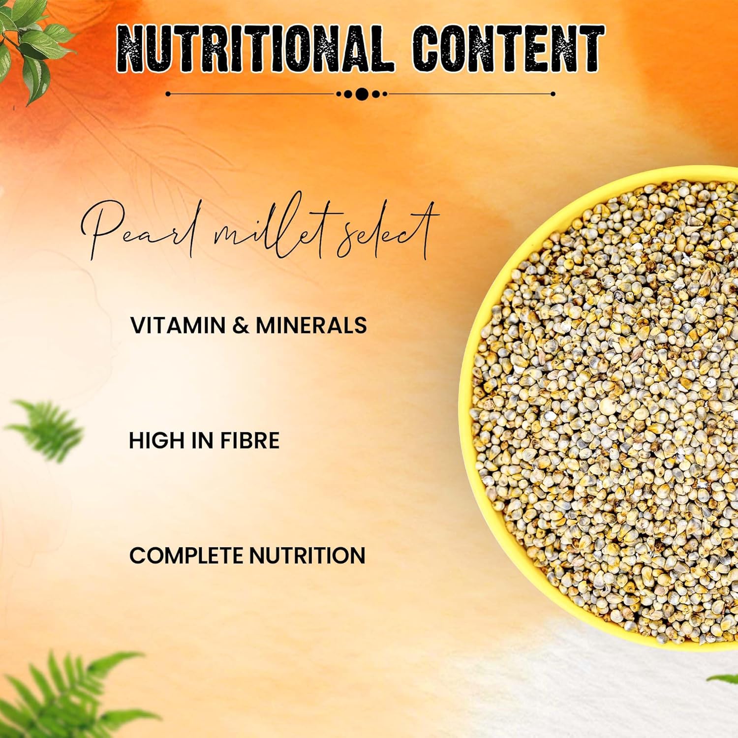Sparrow Daughter Pearl Millet (Bajra) Premium Healthy Bird Food for Finches, Parakeets, Lovebirds, Cockatiels, Parrots, Everyday Bird Food Seeds, All Life Stages