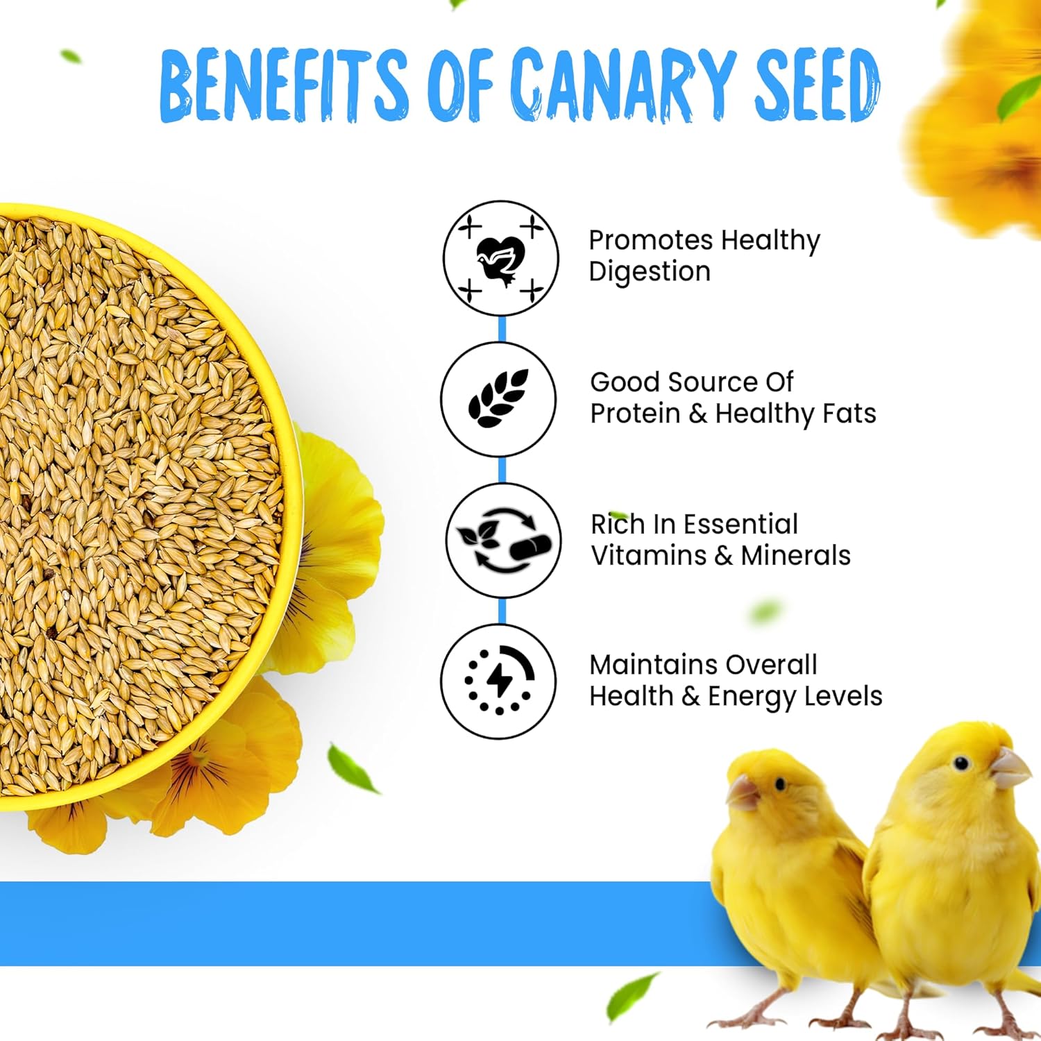 Sparrow Daughter Canary Seeds Bird Food for Canaries, Finches, Budgies, Parakeets, 100% Natural, High Fiber Healthy Premium Seeds Suitable for All Types of Birds