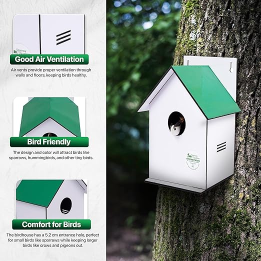 Sparrow Daughter Hut Shape MDF Bird House for House Sparrow, Love Birds, Wooden Bird Nest for Balcony & Garden Hanging, Large Size