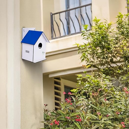 Sparrow Daughter Hut Shape MDF Bird House for House Sparrow, Love Birds, Wooden Bird Nest for Balcony & Garden Hanging, Medium Size