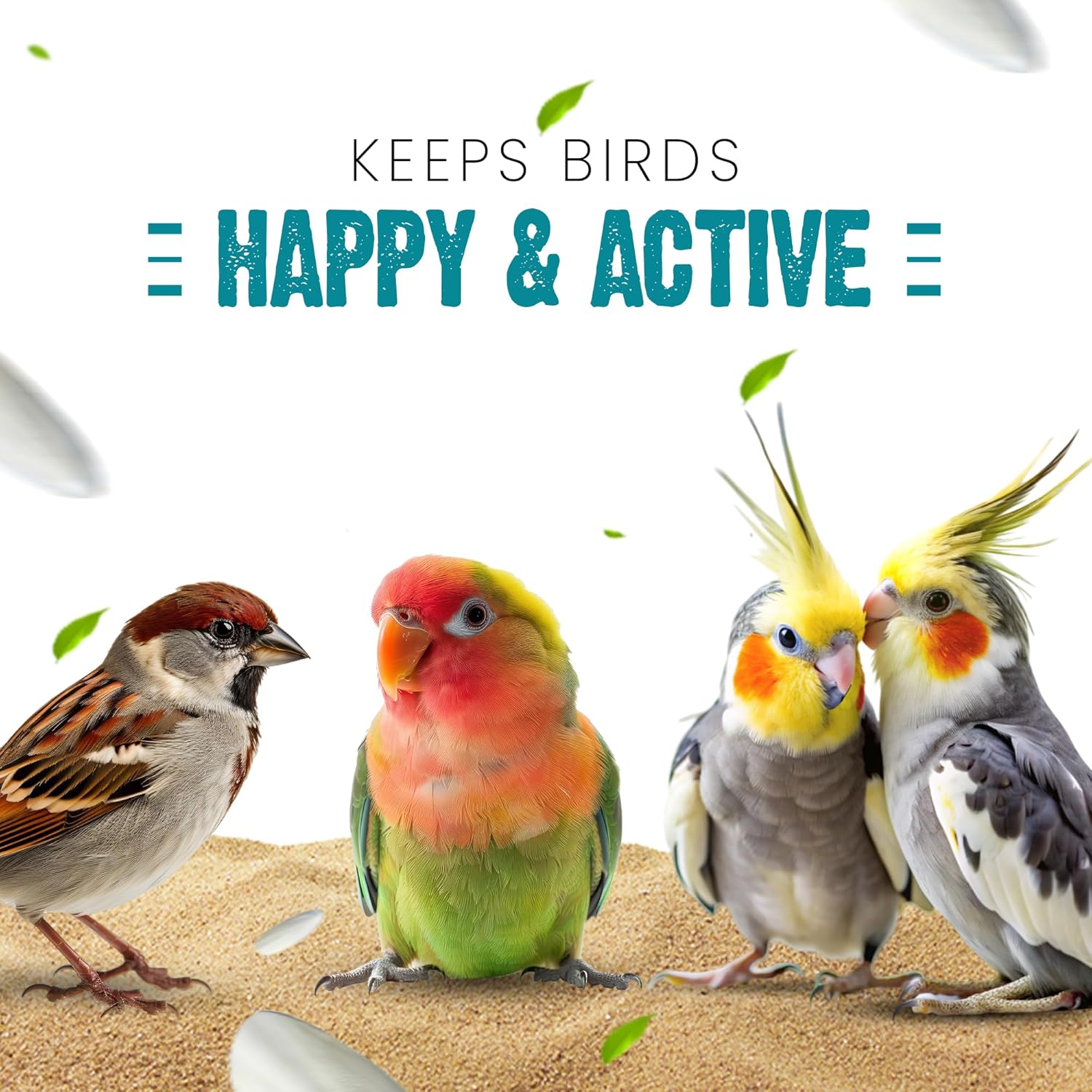 Sparrow Daughter Cuttlefish Bone for Birds, Bird Food with high Calcium for Finches, Budgies, Conures, Lovebirds, Cockatiels, African Grey, Macaws, Parakeets & Parrots, 100 Grams