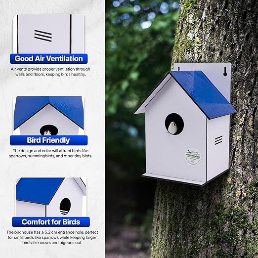 Sparrow Daughter Hut Shape MDF Bird House for House Sparrow, Love Birds, Wooden Bird Nest for Balcony & Garden Hanging, Medium Size